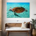thumbnail image 3 of Elephant Stock Cancun Beach Turtle Wall Art - Horizontal Canvas Wall Art - Living Room Wall Decor - Animal Canvas - Turquoise And Blue Decor - 51" x 34", 3 of 8