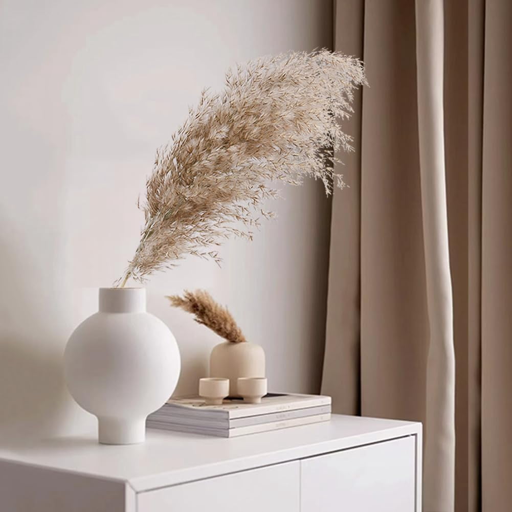 20 Pcs Dried Small Pampas Grass Decor Natural Phragmites Real Wedding Flower Bunch