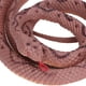 thumbnail image 3 of Serpiente simulada modelo Boa coliflor serpiente entera serpiente juguetes de broma para niños decoraciones de Halloween, 3 of 8