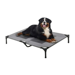 The Original Coolaroo Elevated Pet Dog Bed for Indoors Outdoors Large Gunmetal Walmart