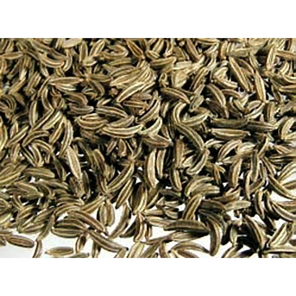 Cumin Great Garden Herb by Seed Kingdom Bulk 1/4 Lb Seeds