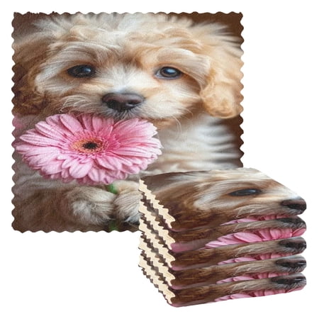 BZSMCE Dish Towels Reuseable Cleaning Cloths 6-pack In Blossom Buddy Pattern