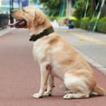 thumbnail image 2 of Dog Collar Heavy Duty Webbing Adjustable Buckle Collars for Medium Large Dogs Army Green, 2 of 8