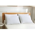 thumbnail image 3 of St. James Home 2-PK COTTON DUCK DOWN BLEND PILLOW, King Size, 3 of 3