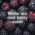 thumbnail image 5 of Softsoap Antibacterial Liquid Hand Soap, New Easy Pour Spout, White Tea and Berry Scent, 50 fl oz, 5 of 13