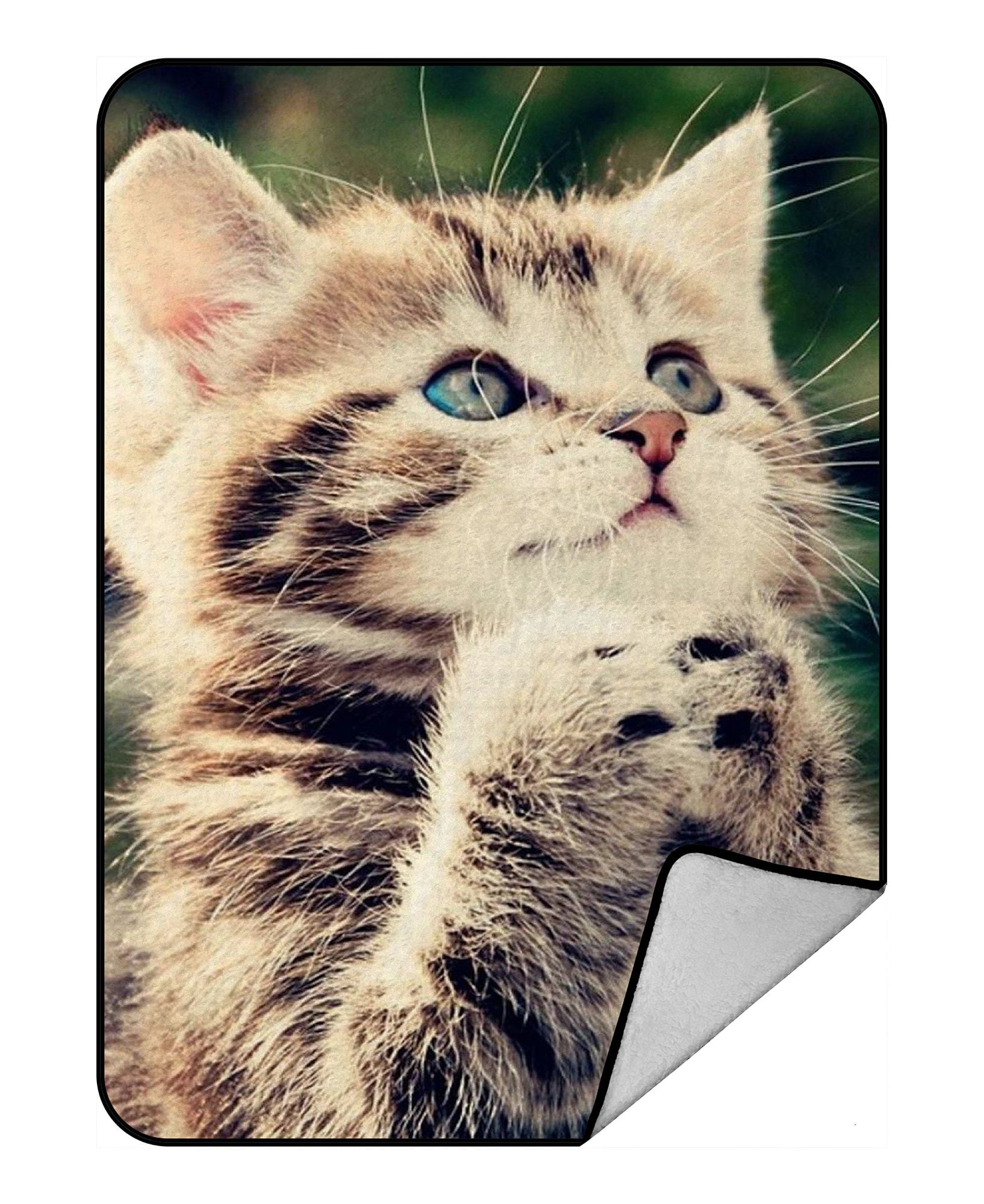 ZKGK Animals Kitten Cat Blanket Crystal Velvet Front and Lambswool