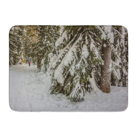 GODPOK Winter Landscape Walk in Woods Snow World The Track for Cross Country Skiing Beautiful and Unusual Roads Rug Doormat Bath Mat 23.6x15.7 (Best Walking Tracks In The World)
