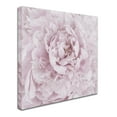 thumbnail image 3 of Trademark Fine Art 'Pink Peony Flower' Canvas Art by Cora Niele, 3 of 4