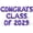 Purple, variant on Letter Balloons - CONGRATS CLASS OF 2029 16" Inch Alphabet Letters Foil Mylar Balloon Graduation Party Banner (Purple)