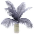 thumbnail image 3 of 10PCS Gray Ostrich Feathers, 10-12 inch(25-30 cm) Ostrich Feathers Bluk for DIY Crafts Centerpieces Wedding Halloween Costume Party Decorations, 3 of 7