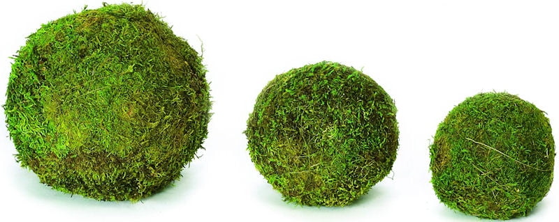 6PCS 3.5 NWFashion 2/2.8/3.5 Green Moss Ball Decorative Ball for Kitchen/Garden/Shop 