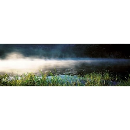 Morning fog Acadia National Park ME USA Poster