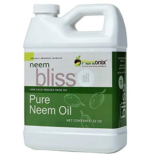Organic Neem Bliss 100 Pure Cold Pressed Neem Seed Oil 32 oz OMRI Listed for Organic Use