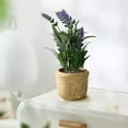 thumbnail image 5 of CQCYD under $5 Small Fake Plants, Artificial Plants in Pot, Faux Silk Plant Decor and Dining Room Desk Shelf Bathroom Living Room, 5 of 6