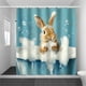 thumbnail image 1 of Holiday Decoration Shower Curtain Home Bathroom Dry And Wet Separation Shower Curtain Waterproof Shower Curtain, 1 of 6