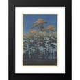 thumbnail image 2 of Kawase Hasui 17x24 Black Modern Framed Museum Art Print Titled - Hikawa Park in Omiya (1930), 2 of 5
