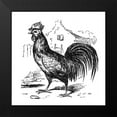 thumbnail image 2 of Roving Rooster 20x20 Black Modern Framed Museum Art Print Titled - Art Licensing Studio, 2 of 5