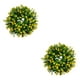 thumbnail image 2 of Ounissouiy Guirnalda de plantas artificiales, adorno colgante de aro de ratán, hoja verde grande de verano para el hogar, boda, fiesta, hogar Type5 NO5, 2 of 6