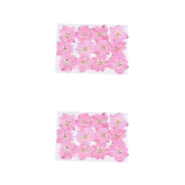 Cateissary 12 piezas de flores secas, espécimen prensado teñido Natural en gran comodidad, suministros para álbumes de recortes para carcasa de Type2 NO2 Cateissary CBP228501