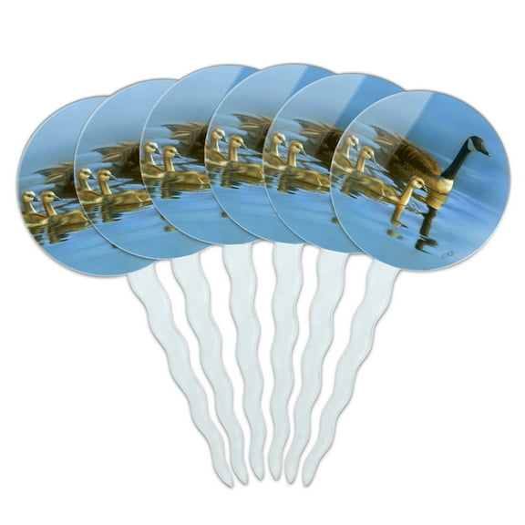 Canada Canadian Geese Family Cupcake Picks Toppers Decoration Set of 6