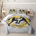 thumbnail image 2 of Erosebridal Silhouette Football Athlete Twin Quilt Set for Boys Men, Brush Stroke Print Twin Coverlet Set, 2pcs, 2 of 7