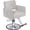 Studio Gray, variant on Salon Barber Chairs for Hair Stylist, Hair Salon Stylist Chair with Heavy Duty Hydraulic Pump Height Adjustable, 360 Degrees Rolling, Barber Braider  Beauty Equipment, Light