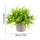 thumbnail image 3 of Plantas artificiales en maceta con hojas de plástico para decoración del hogar, oficina, baño, estantería, verdura de bajo mantenimiento, 3 of 5