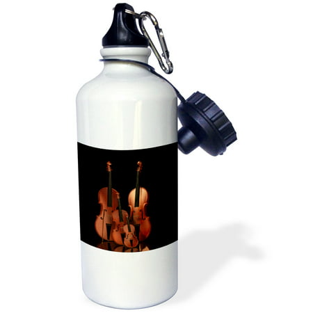 3dRose String instruments violin, bass and cello, Sports Water Bottle, 21oz