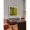 thumbnail image 5 of Marmont Hill "Green Land" by Karolis Janulis Framed Painting Print, 5 of 6