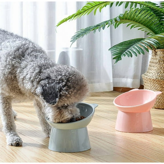 Tilted Cat Food Bowl - Whisker Friendly, Anti Vomiting, Slanted, Cat Bowl