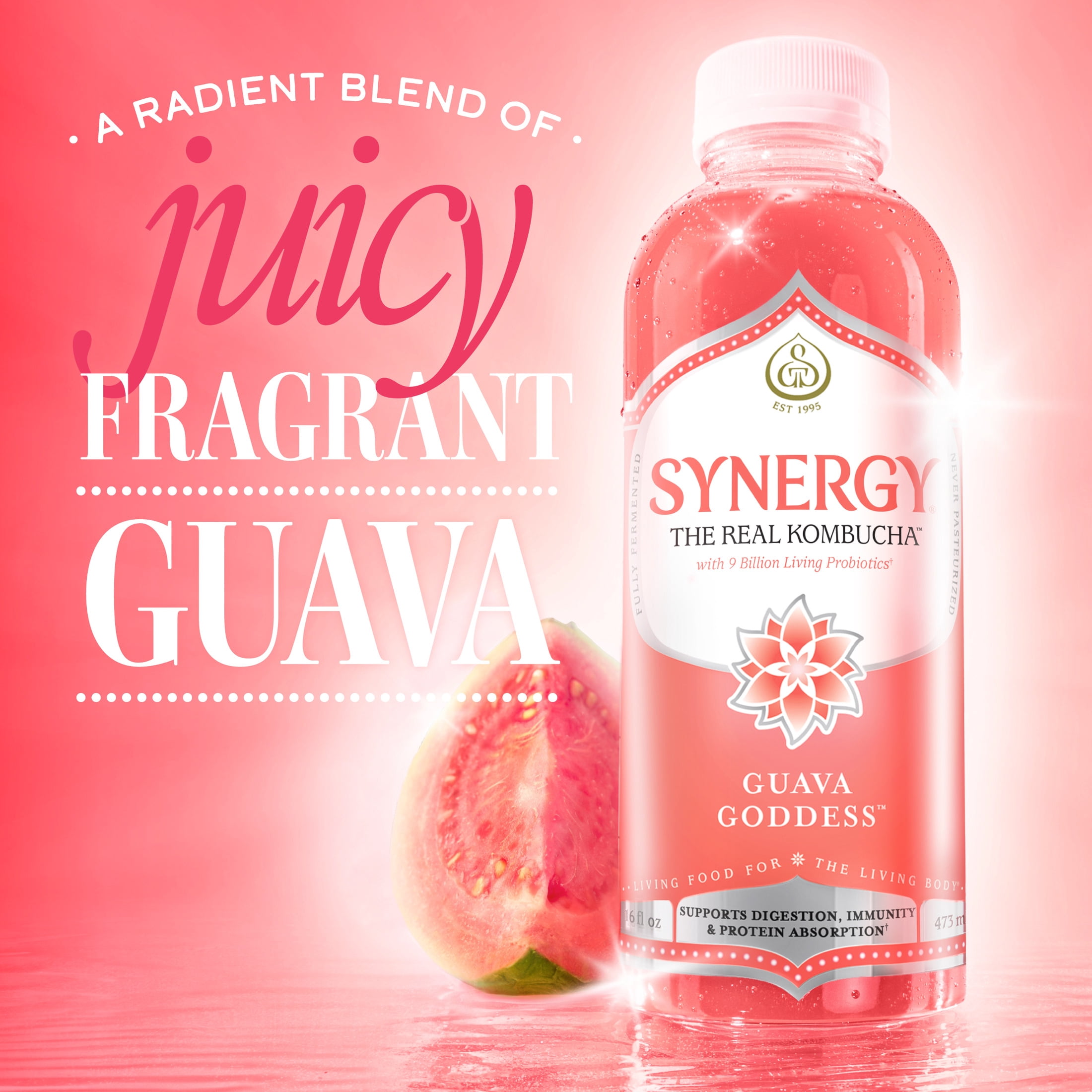GT's Synergy Guava Goddess Raw Kombucha 16 fl oz