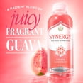thumbnail image 3 of GT's Synergy Guava Goddess Raw Kombucha 16 fl oz, 3 of 11