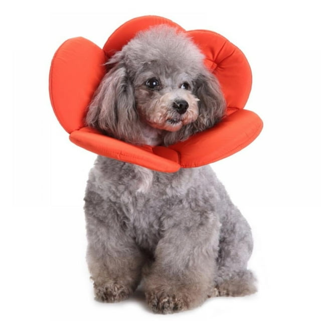 Dog Flower Collar for Surgery Pet Recovery Collar for After Surgery Protective Collar for Large Dogs Wound Healing,orange,M