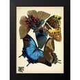 thumbnail image 2 of Vintage Apple Collection 11x14 Black Modern Framed Museum Art Print Titled - Papillons_16, 2 of 5