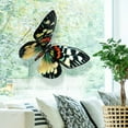 thumbnail image 4 of Butterfly Wall Stickers Decor,16" 3D Large Butterflies Wall Decals Removable DIY Home Art Decorations for Birthday Party Wedding Kids Room Bedroom, 4 of 13