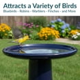 thumbnail image 5 of Sunnydaze Duo-Tone Freestanding Ceramic Outdoor Bird Bath, UV-Resistant Midnight Blue Finish, 5 of 13