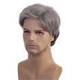 thumbnail image 2 of Fashionable Men's Silver Gray Short Hair Wig | Synthetic High Temperature Fiber Head Cover, 2 of 6