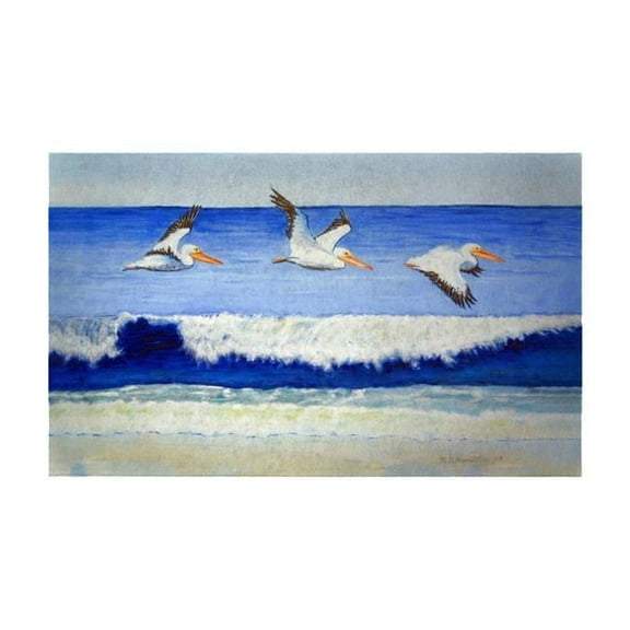Betsy Drake DM1076G 30 x 50 in. Skimming the Surf Door Mat - Large
