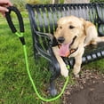 thumbnail image 4 of Rirool 5ft 1/2in Green Nylon Rope Dog Leash, Heavy Duty Reflective Pet Lead with Soft Padded Anti-Slip Handle and Metal Clasp for Medium Large Dogs 18-120 lb, Daily Walking Training, 4 of 6
