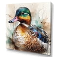 thumbnail image 2 of DESIGN ART Designart "Magnificent_Male Duck Ii" Animal Duck Canvas Wall Art 36 in. wide x 36 in. high, 2 of 5