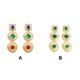 thumbnail image 4 of Jumpingount 2 uds pendientes estilo francés Vintage Retro encanto pendiente joyería accesorios para mujeres y niñas esposa hermana presente Ropa, zapatos y accesorios Miscelánea Verde Jumpingount AP017597-02, 4 of 6