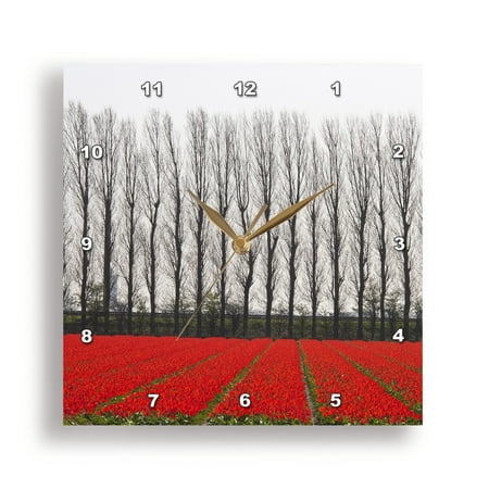 3dRose, Holland, Netherlands, Noord Holland. Rows of tulips with tree border., 15x15 Wall Clock