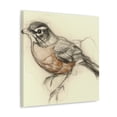 thumbnail image 6 of American Robin in Spring - Canvas, 6 of 25