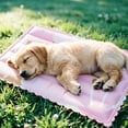 thumbnail image 4 of Pet Mat for Dogs Thick Breathable Summer Bed Pad with 700ml Water Capacity for Indoor Outdoor Use, 4 of 7