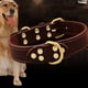 thumbnail image 3 of Dinheiro Collar para perros Cuero - suave hecho de cuero auténtico Latigo, 3 of 5