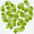thumbnail image 3 of CafePress - Ginkgo Leaf Heart Kids Light T Shirt - Light T-Shirt Kids XS-XL, 3 of 4