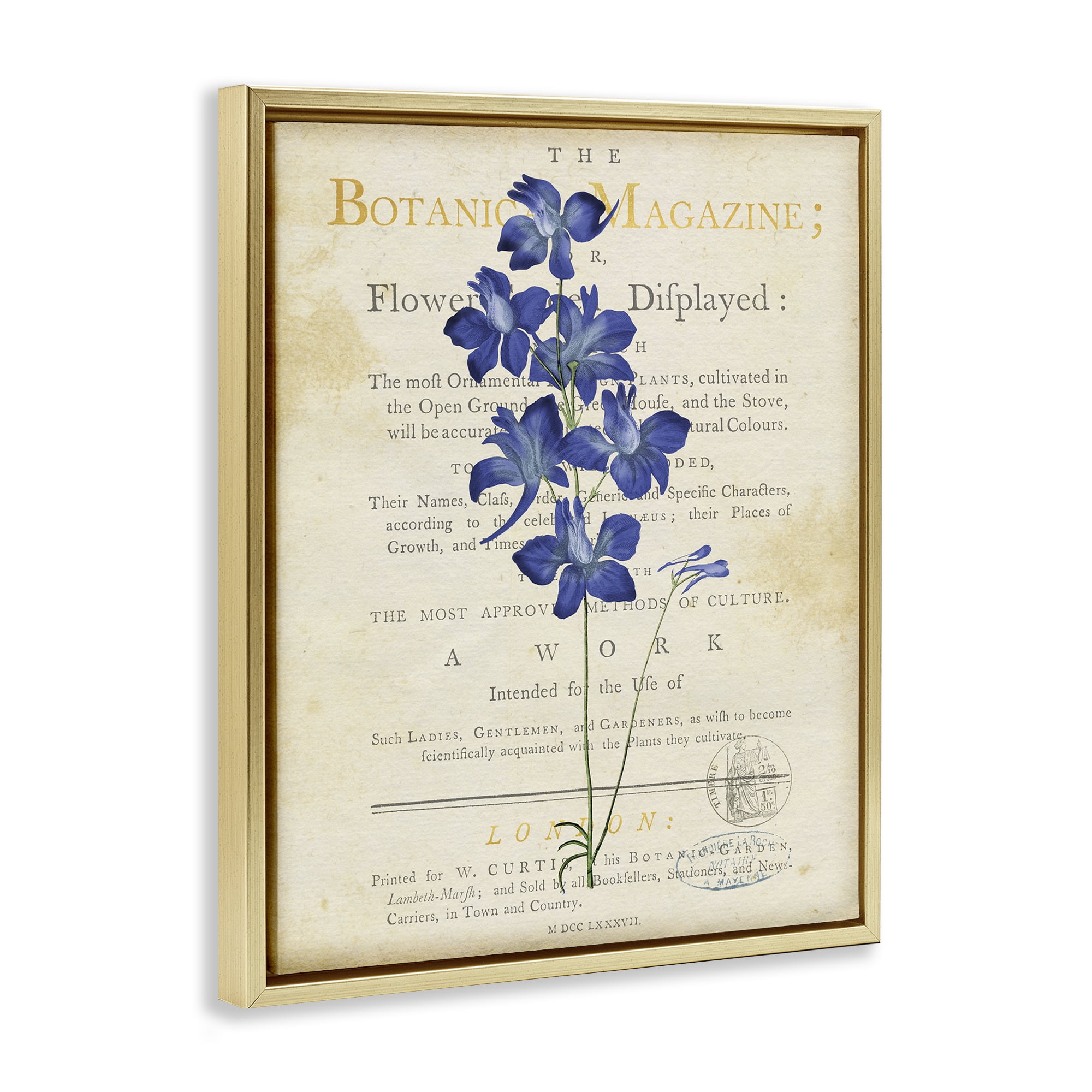Stupell Industries Natural Botanic Garden Flower Gold Framed Floater Canvas Wall Art, design by Susan Arnot