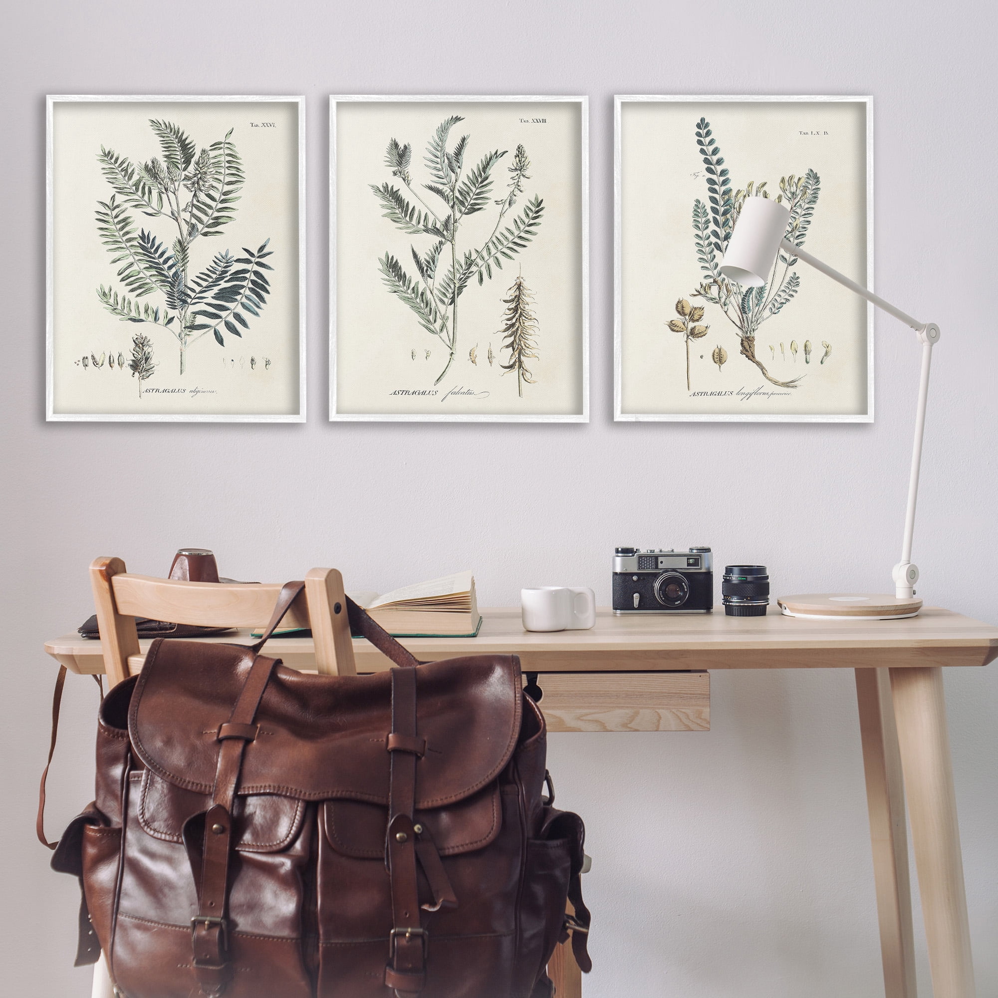 Stupell Industries Woodland Plant Studies Botanical & Floral Painting White Framed Art Print Wall Art, 24 x 30, Set of 3