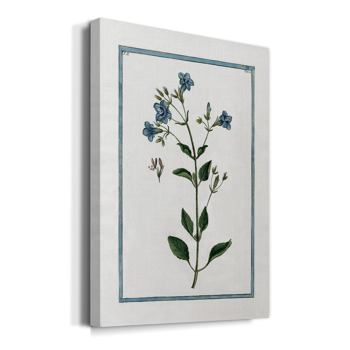 Shabby Chic Botanical II Premium Gallery Wrapped Canvas - Ready to Hang