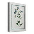 thumbnail image 2 of Shabby Chic Botanical II Premium Gallery Wrapped Canvas - Ready to Hang, 2 of 9